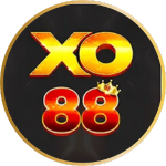 Trang chủ 12 16 1752105136071 slide